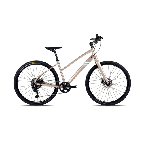 BICICLETA COLLI AMSTERDÃ LADY